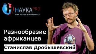 Разнообразие африканцев расы Африки – антрополог Станислав Дробышевский  Научпоп