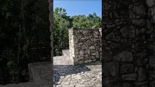 Deep in the jungle of Mexico lies Calakmul one of the most powerful Mayan cities ever discovered