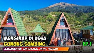 INDAH BANGET  Cerita Menginap di Linggarjati Joglo Desa Mangli Lereng Gunung Sumbing Magelang