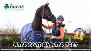 WAAR GAAT LIV NAAR TOE?? #joanneneidhoferhorses #vlog411