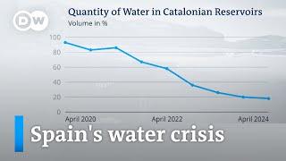 Why more rain is not easing Catalonias water shortages  DW News