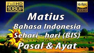 Alkitab Suara  Matius BIS  Bahasa Indonesia sehari-hari  Full HD pasal & ayat