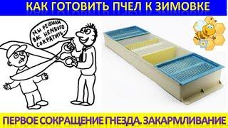 Как готовить пчел к зимовке. Первое сокращение гнезда. Закармливание.