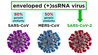 MERS-CoV and SARS-CoV-2 COVID-19