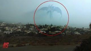 Top 5 Mysterious Gigantic Sea Monster Sightings - September 2018  HollywoodScotty VFX