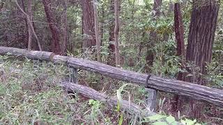 狭山丘陵  六道山から野山北へウォーキング