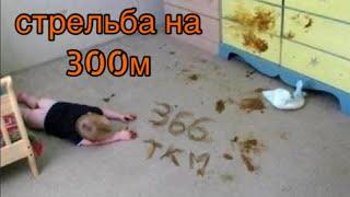 366ткм на 300метров