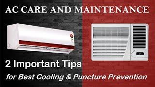 2 Important Tips for AC Maintenance and Care  Best Cooling  Prevent Corrosion  Save Money