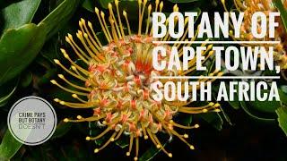 Kirstenbosch Botanic Garden South Africa Series - Episode 1