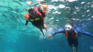 Balicasag Snorkeling 4
