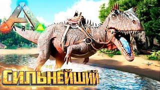 Приручаем Кархародонтозавра - ARK Survival Evolved Island Выживание #11