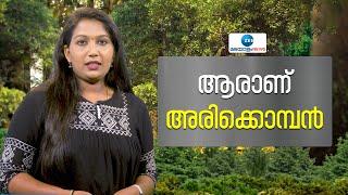 Arikomban  ആരാണ് അരിക്കൊമ്പൻ  Idukki Wild Elephant  Zee Malayalam News