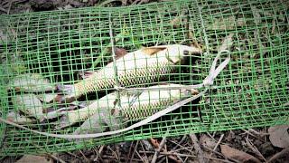 How to Make a Simple Wire Mesh Fish Trap at Home. DIY 