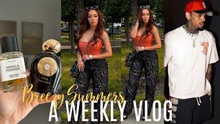 WEEKLY VLOG  House Updates Another Concert Finally Meeting Friend