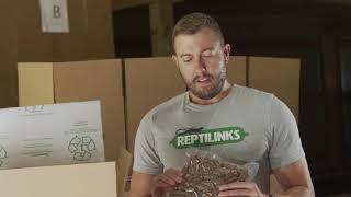 Reptilinks Shipping FAQ