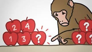 Why Monkeys Can Only Count To Four