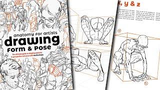 Anatomy for Artists Drawing Form & Pose by Tomfoxdraws Ultimate Guide for Anatomy in Perspective