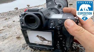 BIRD PHOTOGRAPHY  NIKON Z9 on Svalbard - Ep.4