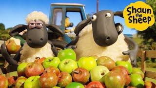 Shaun the Sheep  Apple Pie? - Cartoons for Kids  Full Episodes Compilation 1 hour