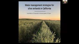 Talk #7 Optimized Irrigation Management in Olive with Giulia Marino