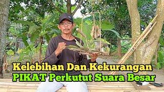 Kelebihan dan kekurangan pikat suara BESAR