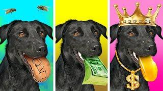 My Magic Dog Grants Wishes  Rich vs Broke vs Giga Rich Dogs by Challenge Accepted