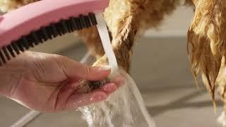 DogShower by hansgrohe audio