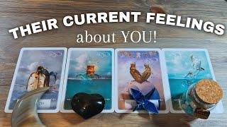 Their Feelings RIGHT NOW * Pick A Card LOVE Tarot Reading * Timeless