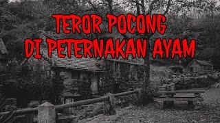 TEROR POCONG DI PETERNAKAN AYAM • PENGALAMAN HOROR PARA PENJAGA KANDANG AYAM  PENUNGGU PETERNAKAN