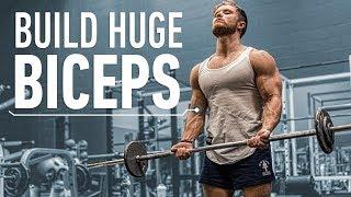 How To Build Huge Biceps Optimal Training Explained