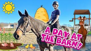 My Barn Routine