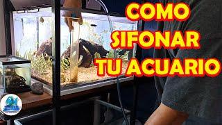 Como sifonar un acuario