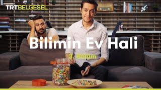 Bilimin Ev Hali  Beynimiz Nasıl Algılar?  TRT Belgesel