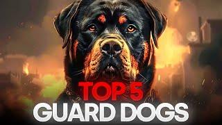 WORLDS TOP 5 GUARD DOGS