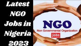 Latest NGO Jobs in Nigeria 20232024  Valid Recruitment Agencies I Top 15 NGOs Recruiting Today