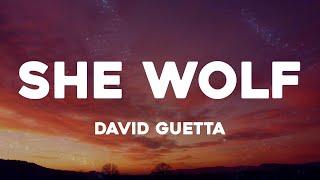 David Guetta - She Wolf Lyrics