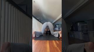 High Plank to Chaturanga Yoga Flow