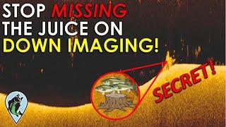 What Cover Looks Like on Down Imaging  Bass Fishing Sonar Instruction and Down Imaging Explained