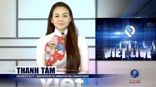 VIETLIVE TV ngày 17 01 2023