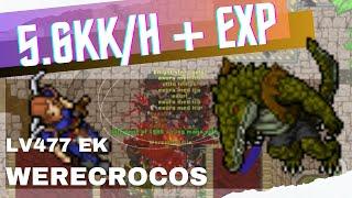 EK 400+ Werecrocodiles - 5.6KKH 150% EXP and 700K PROFIT.  RAW 3.7KKH