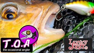 LUCKY JOHN LURES - PERFECT CHUB AND PERCH CRANKBAITS