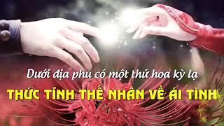 Truyền thuyết hoa Bỉ Ngạn