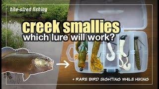 Which Lure Will Get Creek Smallmouth Bass? Hike & Fish