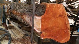 Startling  Super long and huge scary monster sawmill