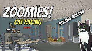 POV KUCING RACING BALAP LIAR wkwkwk - Zoomies Cat Racing Demo