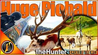 HUGE Piebald Stag on Cuatro Colinas  theHunter Call of the Wild