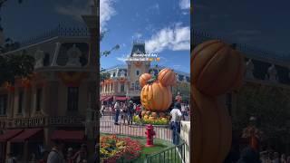 Disneyland in the Fall 🫶#disney #disneyland #disneylandhalloween