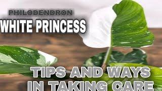 PHILODENDRON WHITE PRINCESS CARE AND TIPS  #Rareplants #LalarksTvVlog #Philodendron