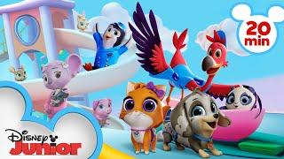 T.O.T.S. Season 3 Highlights  20 Minute Compilation  T.O.T.S.  @disneyjunior