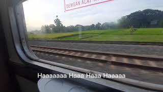 Pinarak Bojonegoro Lirik Lagu